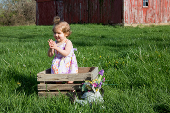 Enlarge photo 158