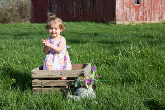 Enlarge photo 159