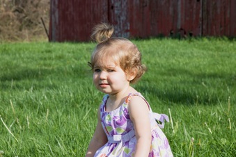 Enlarge photo 161