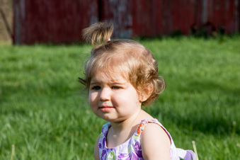 Enlarge photo 162