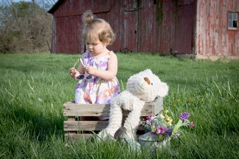 Enlarge photo 177
