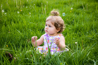 Enlarge photo 220