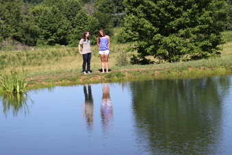 Enlarge photo 19