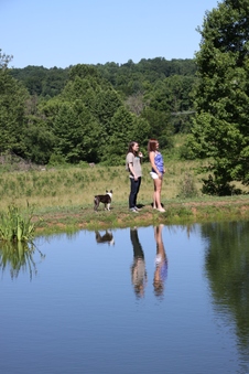 Enlarge photo 20