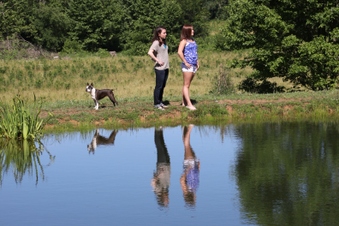 Enlarge photo 15