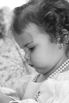 Enlarge photo 53