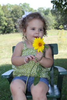 Enlarge photo 81