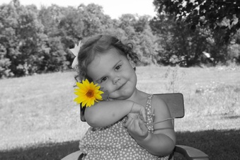 Enlarge photo 84