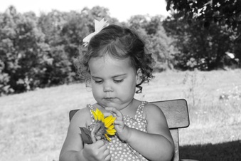 Enlarge photo 90