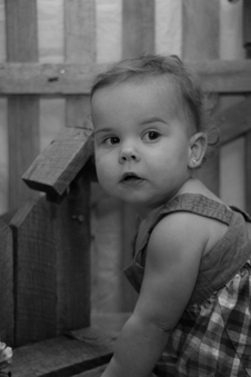 Enlarge photo 65