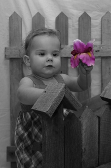 Enlarge photo 68