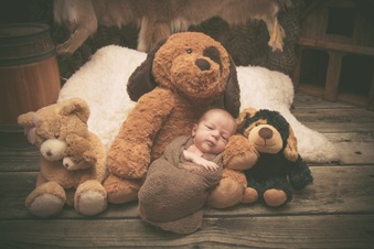 Enlarge photo 50