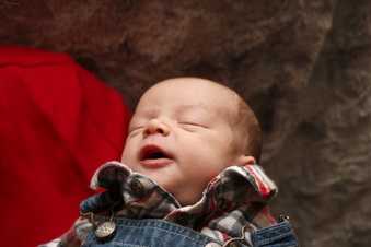 Enlarge photo 130