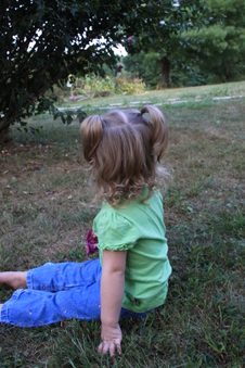 Enlarge photo 107