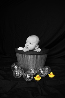Enlarge photo 67
