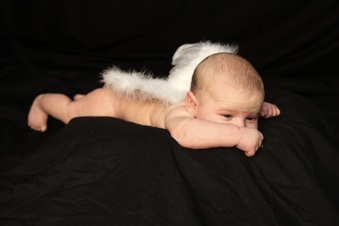 Enlarge photo 82