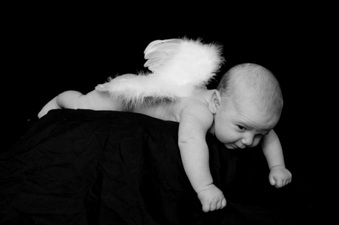Enlarge photo 83