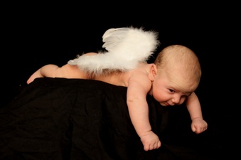 Enlarge photo 84