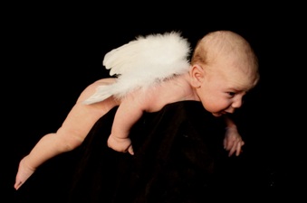 Enlarge photo 95
