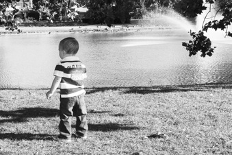 Enlarge photo 145
