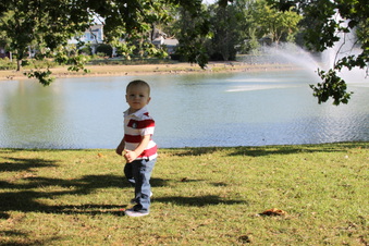 Enlarge photo 147