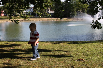 Enlarge photo 148