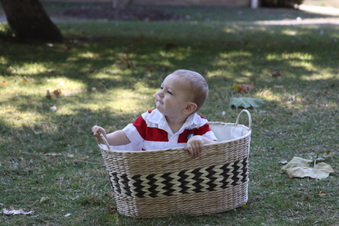 Enlarge photo 24