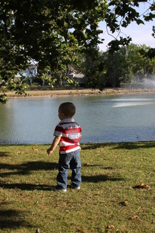 Enlarge photo 30