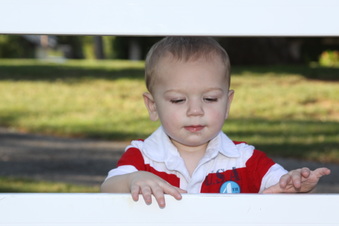 Enlarge photo 86