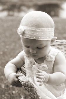 Enlarge photo 164