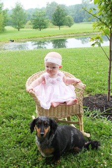 Enlarge photo 173