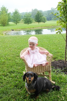 Enlarge photo 174