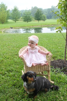 Enlarge photo 175