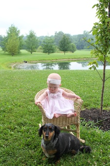 Enlarge photo 177