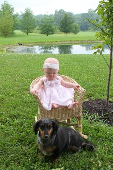 Enlarge photo 178