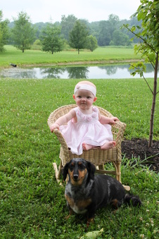 Enlarge photo 181