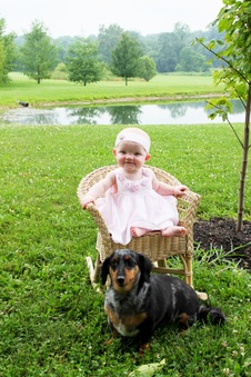Enlarge photo 182