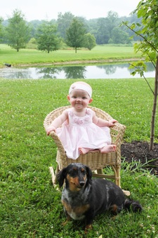 Enlarge photo 183