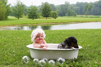 Enlarge photo 211
