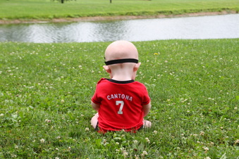 Enlarge photo 245