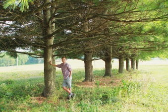 Enlarge photo 77