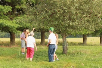 Enlarge photo 125