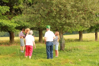 Enlarge photo 126