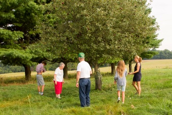 Enlarge photo 129