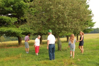 Enlarge photo 131