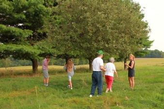 Enlarge photo 133