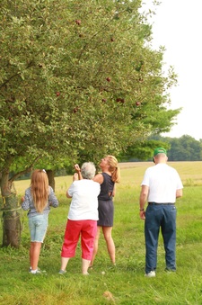 Enlarge photo 134