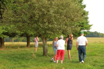 Enlarge photo 135