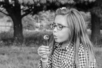 Enlarge photo 147