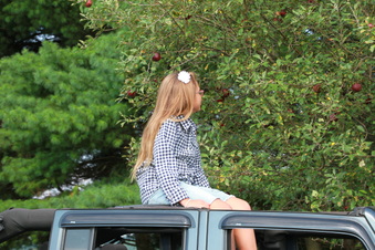 Enlarge photo 157